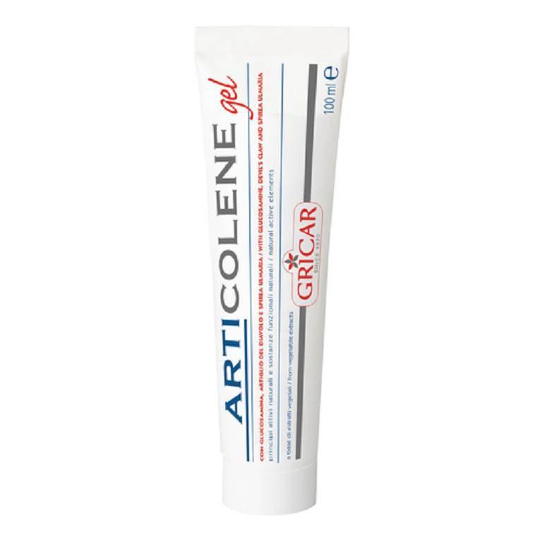 ARTICOLENE GEL 100ML