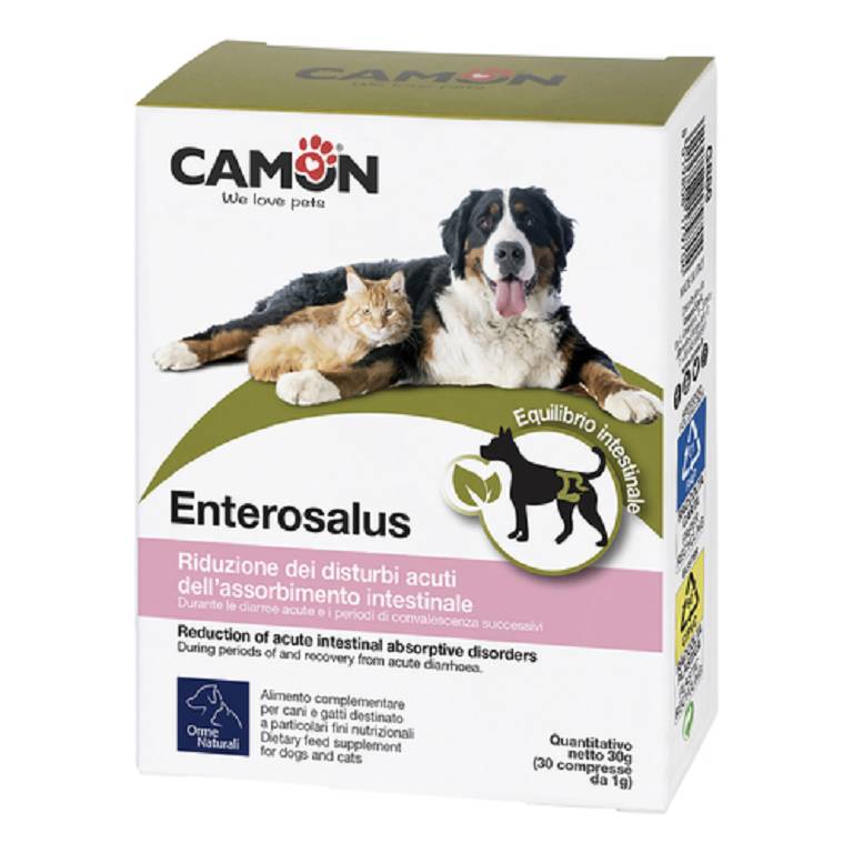 ENTEROSALUS 30CPR 1G